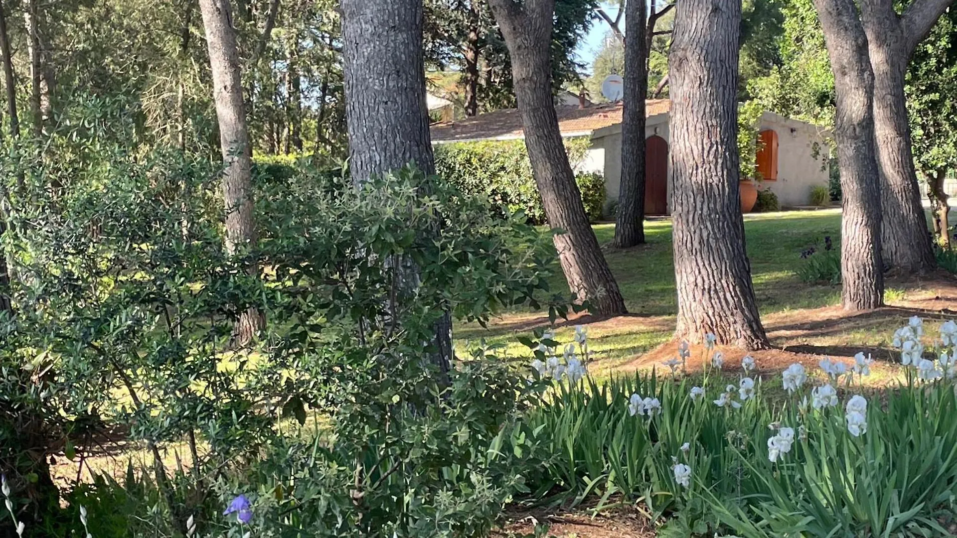 Agriturismo Podere Campalto Campiglia Marittima Alojamento de Turismo Rural