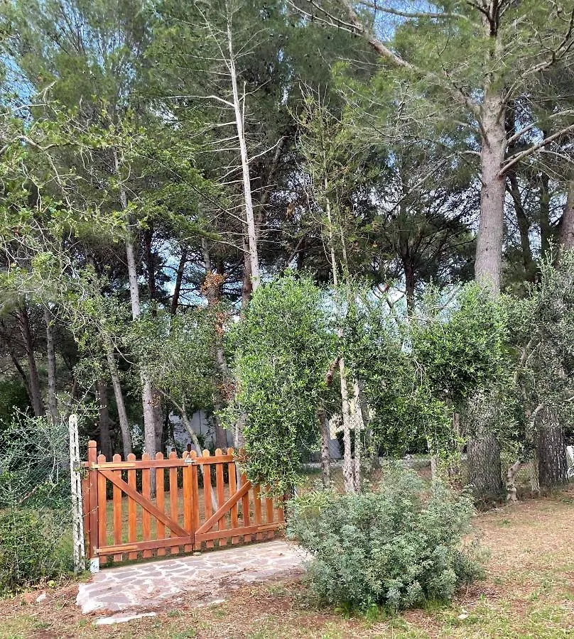 Agriturismo Podere Campalto Campiglia Marittima Farm stay