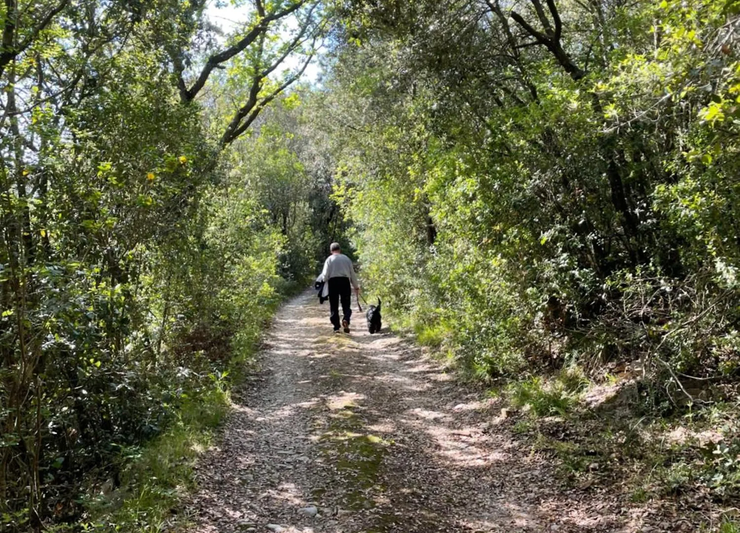 Agriturismo Podere Campalto Campiglia Marittima Italy