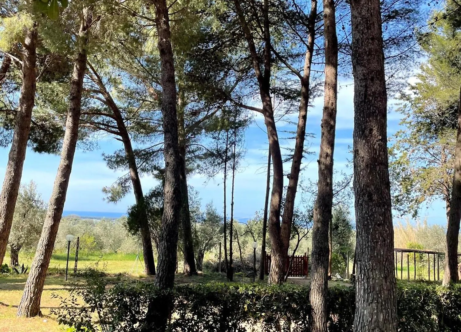 Agriturismo Podere Campalto Campiglia Marittima