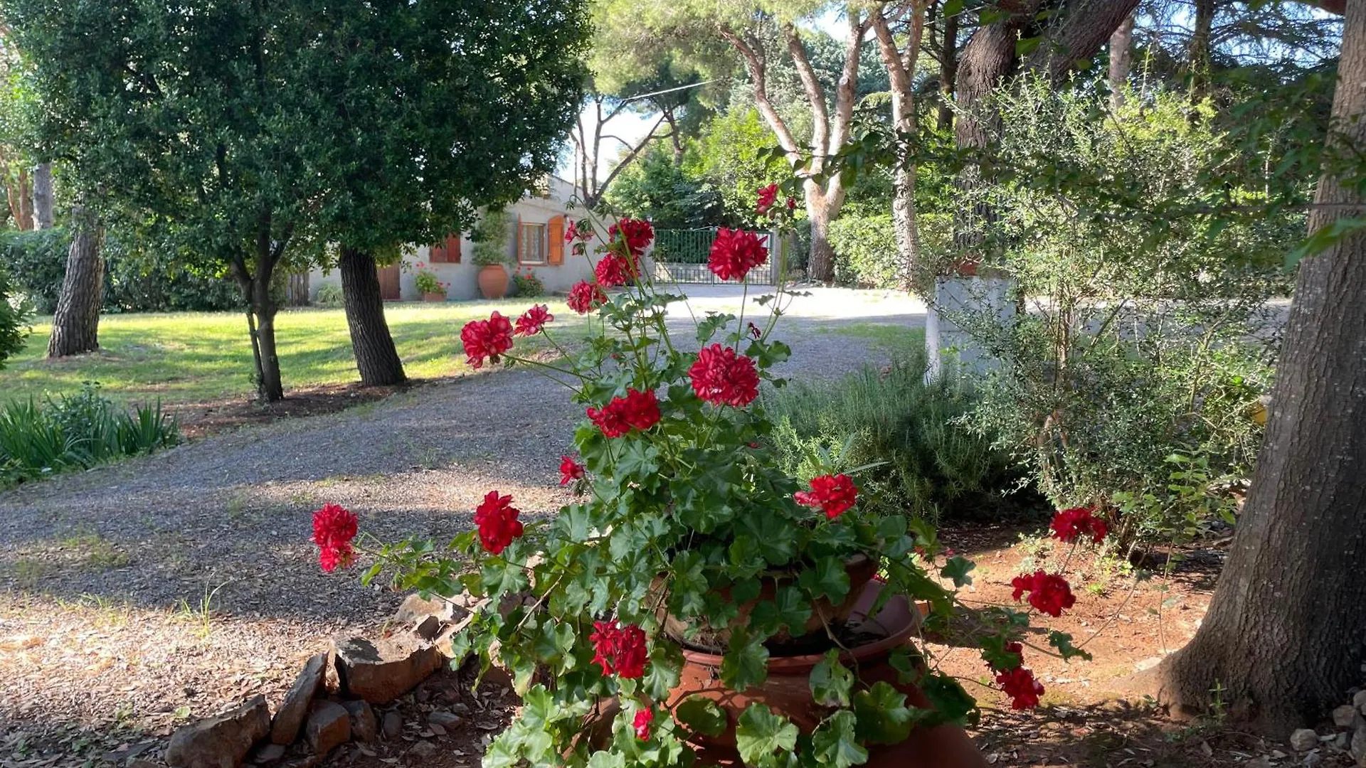 Agriturismo Podere Campalto Campiglia Marittima