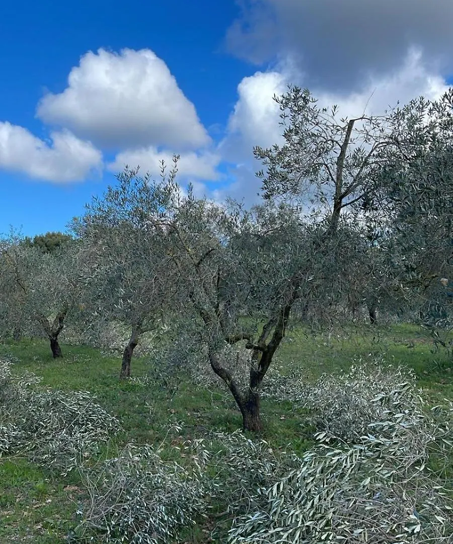 Agriturismo Podere Campalto Campiglia Marittima Farm stay
