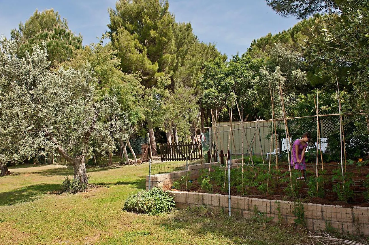 Farm stay Agriturismo Podere Campalto Campiglia Marittima