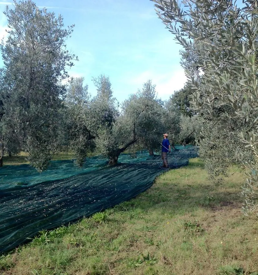 Agriturismo Podere Campalto Campiglia Marittima 0*,  Italy