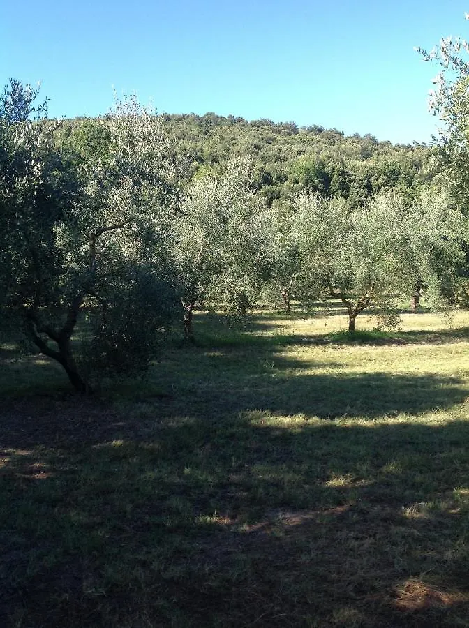 Agriturismo Podere Campalto Campiglia Marittima Farm stay